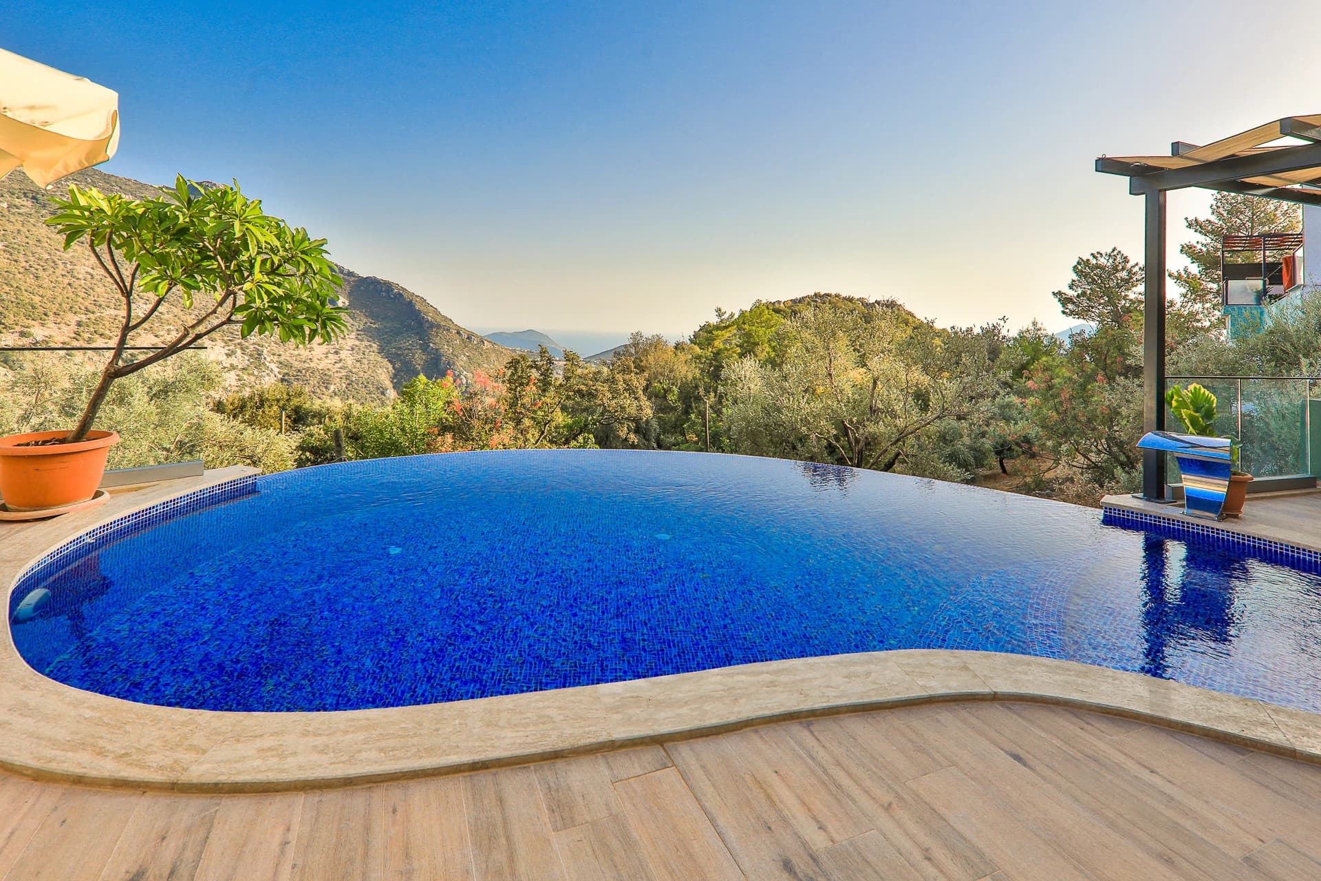 Curved private pool with mountain backdrop and garden setting.