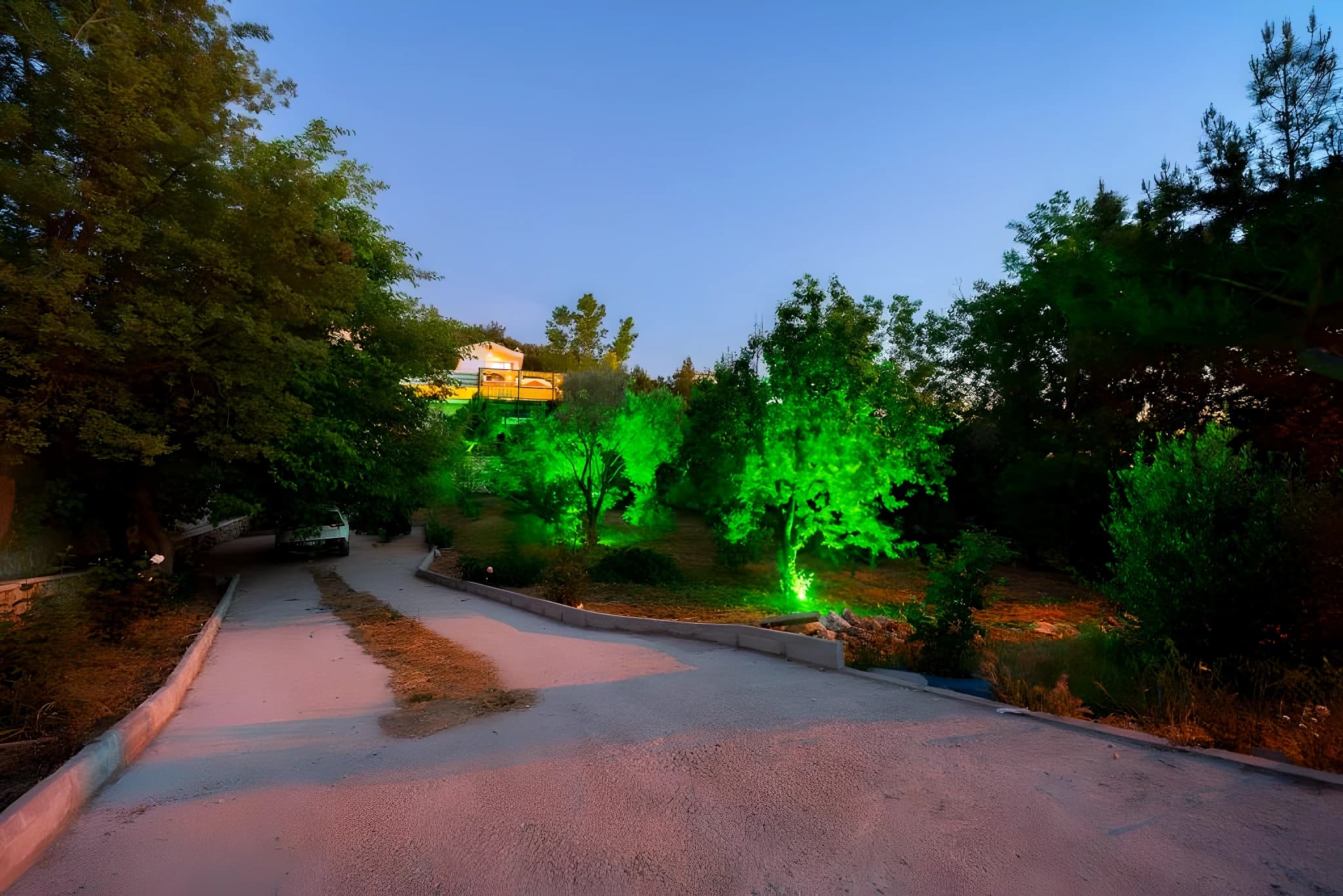 Illuminated garden approach and driveway with accent lighting on trees.