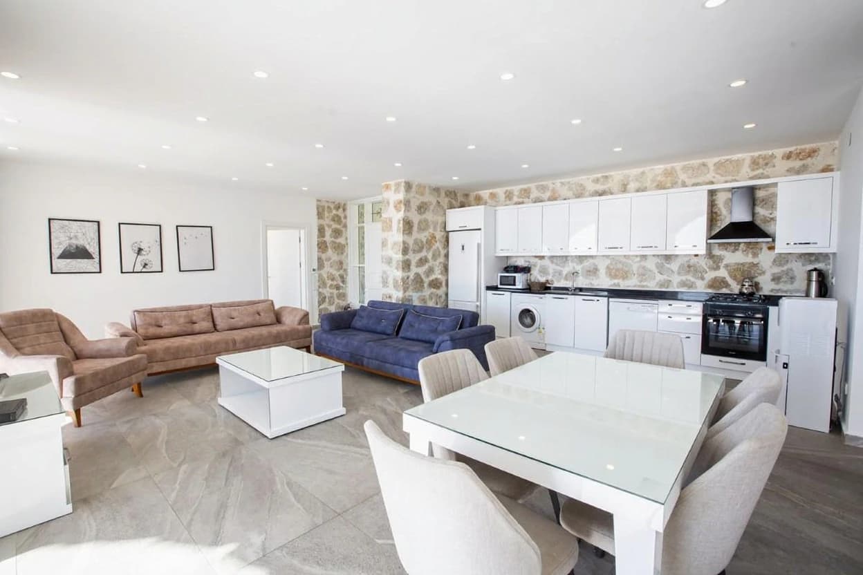Integrated kitchen and living space with modern furnishings and stone accents.